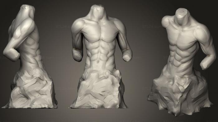 Анатомия скелеты и черепа (Скульптура торса мужского, ANTM_1020) 3D модель для ЧПУ станка
